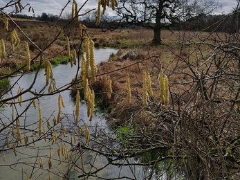 River landscape in winter time.