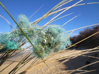 Ghost fishing gear © Trudi Lloyd Williams