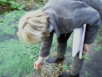 Mary Ann Canning surveying the vegetation in the River Lavant © Trudi Lloyd Williams