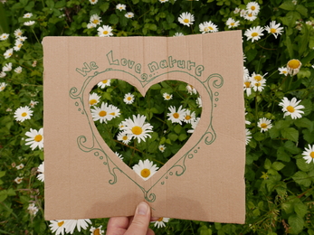 Cardboard with heart cut out of it overlain on daisies