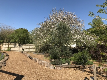 Kings Worthy Primary School - Roman Garden