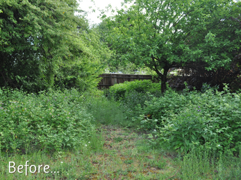 Kings Worthy Primary School - Garden before transformation