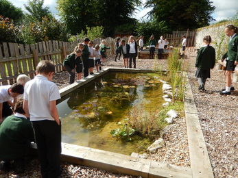 Children surrounded by pond 