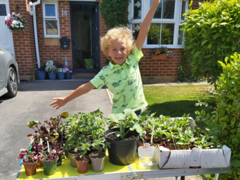 Boy selling plants at end of driveway