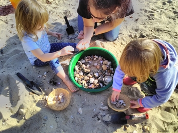 Children collecting shells at Wildbeach session © HIWWT