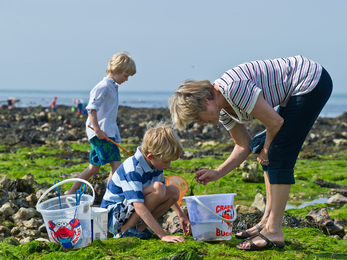 Crabbing and rockpooling © Matthew Roberts