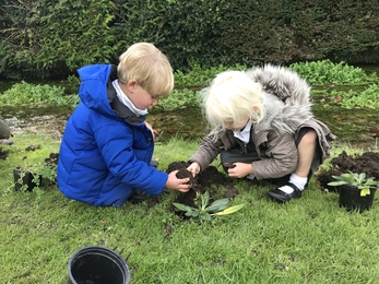 Cheriton Primary School planting wildflowers by the Cheriton Stream © Andrew Goldsworthy