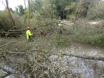 Thinning trees on an over-shaded section of the Pillhill Brook at Little Ann © Wild Trout Trust