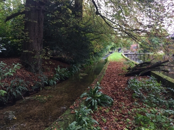 Mill channels on the Bourne Rivulet at Hurstbourne Priors © Wessex Rivers Trust