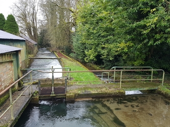 Mill pond and channels on the Bourne Rivulet at Hurstbourne Priors © Wessex Rivers Trust