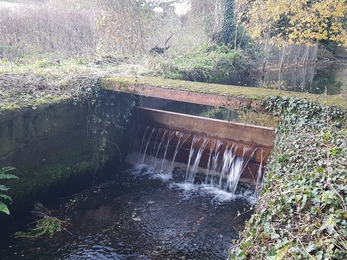 Sluice repairs on the Bourne Rivulet at Hurstbourne Priors © Wessex Rivers Trust