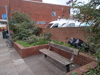 Bench surrounded by raised beds with overgrown plants and bin bags in the background