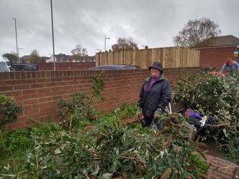 Volunteers standing in area of raised beds doing some gardening