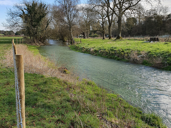 Fencing on the Bourne Rivulet at Stoke © Wessex Rivers Trust