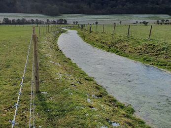 Fencing on the Bourne Rivulet at Stoke © Wessex Rivers Trust