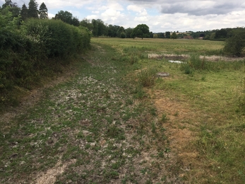 Sediment on the Bourne Rivulet at Stoke © Wessex Rivers Trust