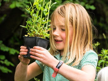 Cheriton Primary School planting wildflowers by the Cheriton Stream © Simon Newman