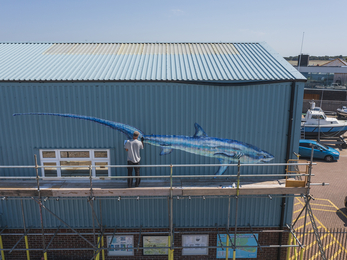 Drone shot of thresher shark mural by ATM © Bret Charman