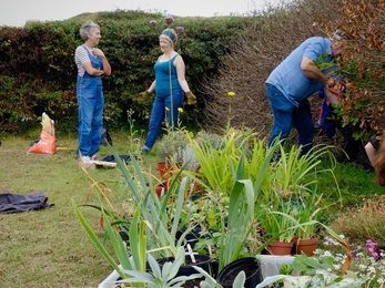 Plants loaded in plastic containers