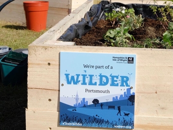 Close up of the raised beds with plaques nailed on to their sides. Plaques read "We're part of a Wilder Portsmouth"