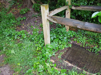 First sediment trap on Dark Lane in Cheriton © HIWWT