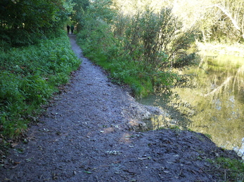 Footpath erosion on the River Arle in Alresford © Aquascience Ltd