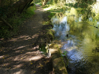 Footpath erosion on the River Arle in Alresford © Aquascience Ltd