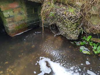 Pipe draining water from road to the Cheriton Stream © HIWWT