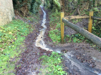 Water flowing down Dark Lane in Cheriton © Barry Frampton