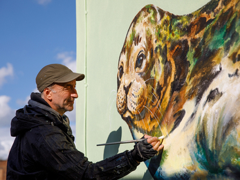 Artist ATM and seal mural © Siân Addison