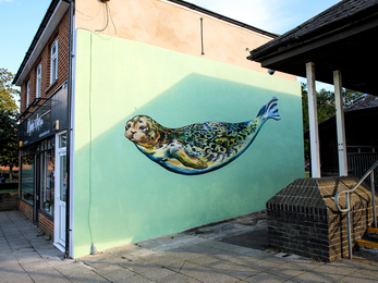 Harbour seal mural, Newport IOW © Siân Addison