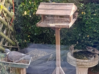 Image of bird feeder and bird bath in the corner of a garden. Small birds are around the bird bath.