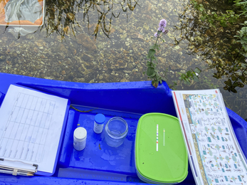 Floating equipment tray © Nicole Richards