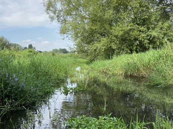 The Bourne Rivulet © Nicole Richards