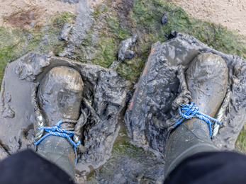 walking on mudflats 