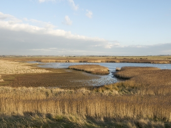 Farlington Marshes Nature Reserve