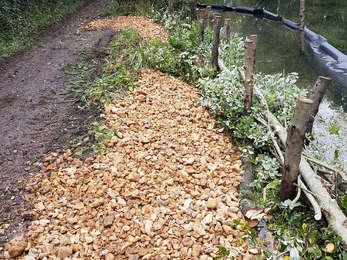 Repairs to the eroding footpath and chalk stream bank in Alresford © Wessex Rivers Trust