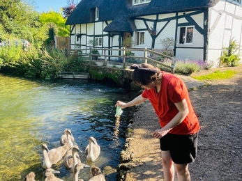 Amy Barnham feeding cygnets in Alresford © Bob Barnham