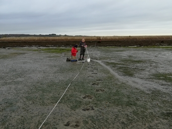 Winter biodiversity assessments at Farlington Marshes 