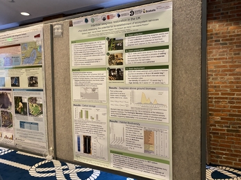 Solent Seagrass Restoration project in the poster session at the World Seagrass Conference 2022