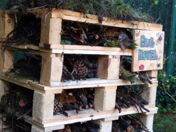 Action Asylum Volunteers build bug hotel 