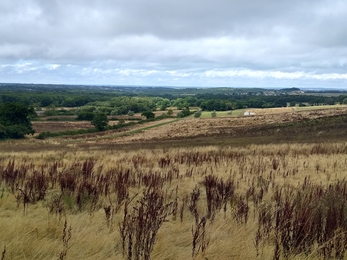 View from HIWWT Duxmore Site on the Isle of Wight