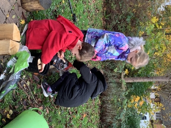 Children making beetle bucket