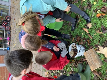 Children looking at what lives in a beetle bucket