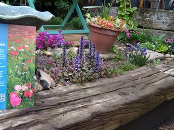  display garden with examples of wildlife friendly planting, wildlife boxes and links to many more ideas for your garden.