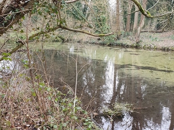 Upper Test at Flashetts footpath, Overton before habitat restoration © Wessex Rivers Trust