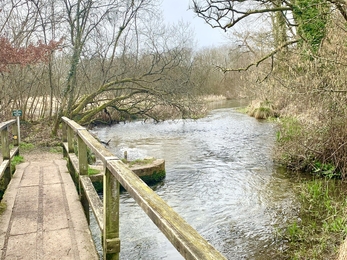 River Itchen in Itchen Stoke © Leesa Yeo