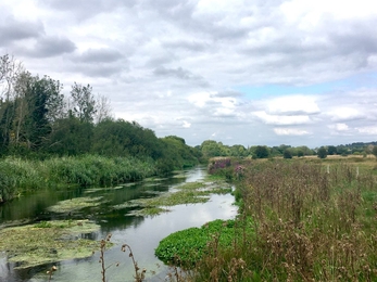 The River Test near Stockbridge © Leesa Yeo