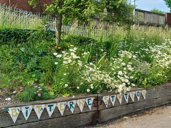 flower bed at bitterne station