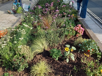 Flower bed in victoria road